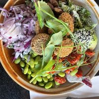 Vegan salad with falafel and vegan garlic mayo   at Cafe Vi2 in Aalborg