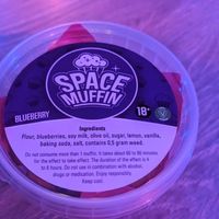 Blueberry space muffin at Popeye Coffeeshop in Amsterdam