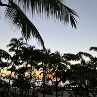 View from our table at Oahu Mexican Grill at Oahu Mexican Grill in Honolulu