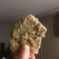Just a delicious chocolate chip cookie!! Nomnomnom!! at Cookie Mama in Calgary
