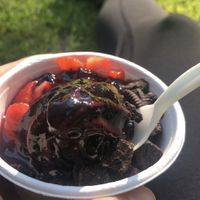 Small chocolate frozen yogurt with strawberries, raspberry sauce and Oreos at Kurt in Innsbruck