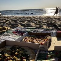 Pizza at oval beach   at The Mitten Brewing Company in Saugatuck