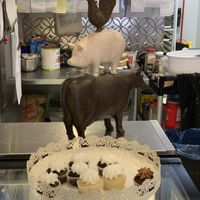 Minis at 96 Lives Vegan Bakery and Cafe in Lancaster