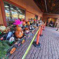  at Randall's Farm and Greenhouse in Ludlow