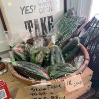   at Hobodo Cafe in Kyoto