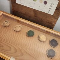 Brown rice ohagi at Hobodo Cafe in Kyoto