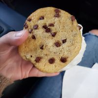  at Sunshine Sammies in Asheville