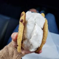  at Sunshine Sammies in Asheville