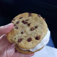  at Sunshine Sammies in Asheville