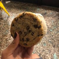   at Sunshine Sammies in Asheville