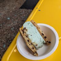 Vegan mint chocolate chip with chocolate chip cookie sandwich at Sunshine Sammies in Asheville