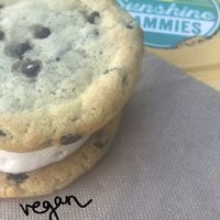 Vegan ice cream sammy!! at Sunshine Sammies in Asheville