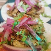  at Amarre 69 in Barcelona