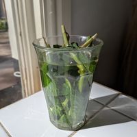 Mint tea at Rainbowls in Amsterdam