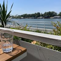   at Toro Latin GastroBar in Belgrade