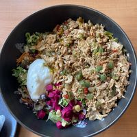 The plate!  at Juste Falafel in Montreal