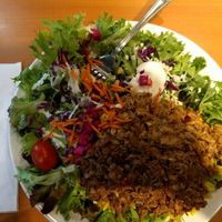 Shawarma plate at Juste Falafel in Montreal