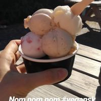 Ice cream tapas at Siku.julie in Ronne