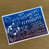 They shared some stickers from a traveling vegan artist! @saffacath — food was too good, forgot got take pictures of it.😄 at Wachuma in Antigua