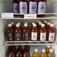 KOMBUCHAS at Wachuma in Antigua