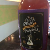 Delicious Kombucha at Wachuma in Antigua