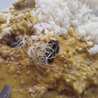 Ají de No gallina con setas at Los Andenes Vegan in Madrid