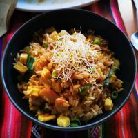 Chaufa at Los Andenes Vegan in Madrid