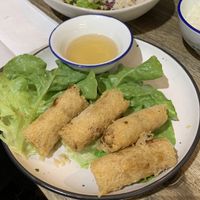 Vegan lace-net spring rolls   at Pho Moi Vietnamese Eatery  in Katoomba