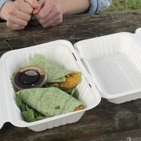   at Earth Candy in Rockland