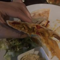 vegan quesadila with couliflower and melting vegan cheese at Hany Bany in Prague