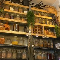 cute location🥹  at SOIL Vegan Cafe - West in Amsterdam