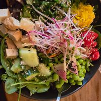 Miso salad at SOIL Vegan Cafe - West in Amsterdam