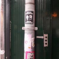Animal lib stickering! at SOIL Vegan Cafe - West in Amsterdam