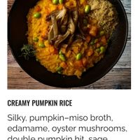  at SOIL Vegan Cafe - West in Amsterdam