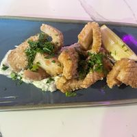 Calamari- great! at Mina Maria in Newtown
