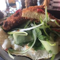 Crusted tofu tacos  at Vondel in Devonport
