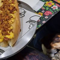 Hot dog paulista at Paprica Vegan in Curitiba