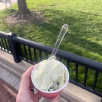 Lemon poppyseed and mint chocolate chipp cookie dough  at Gelato Boy - Pear in Boulder
