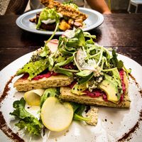 Avocado toast at Chaya & Cacao in Isla Mujeres