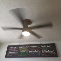 They also serve Eggs but you can take Tofu ♡ at Chaya & Cacao in Isla Mujeres