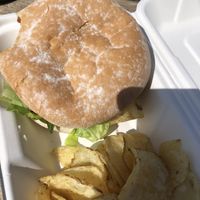 The burger at Finleys Cafe in Wareham