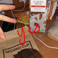 Vegan Oreo filled sandwich  at Second Cup in Birmingham