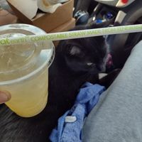 Didn't feel bad about the straw for this great fresh lemonade at The Green Spork in Richmond Hill