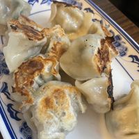 Tofu + Mushrooms + Pak Choy fried dumplings   at Zhonghua Traditional Snacks in Cambridge