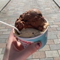 My order  at Udderlicious in London