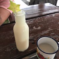 Guanabana (sour sop) smoothie made with water at La Choza de Laurel in Liberia