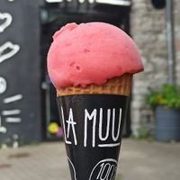  at La Muu in Tallinn