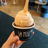 Vegan nutella and peanut butter Ice cream at La Muu in Tallinn