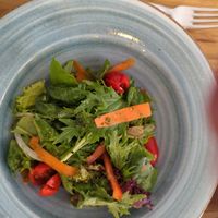 Small mixed salad at Cevicheria Trattoria Donde Wippy in Cartagena