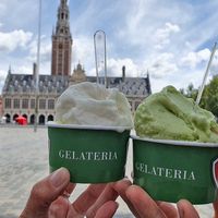 Selection of 4 vegan sorbets at Decadenza Gelateria in Leuven